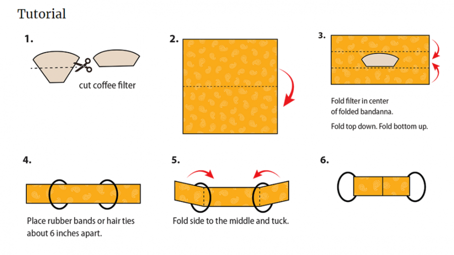 An overview of all the steps. Remember to cut your coffee filter or paper towel in half before starting.