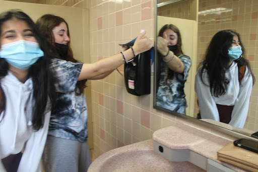 Kaitlyn Barsanti, 12, and Sonia Kurian, 12, strike a pose mocking the silly trend, specifically the popularity of the vandalism of soap dispensers.