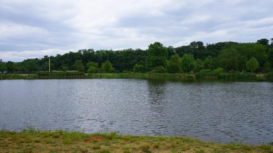 An unnamed pond in Donaldson Park, and also a fishing spot. 