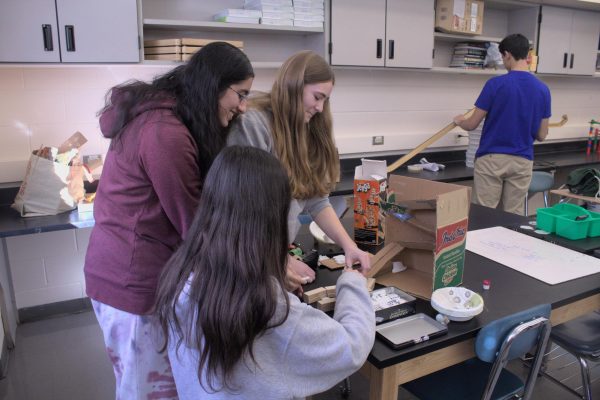 Students in Mr. Daus Physics Accelerated class work on their Rube Goldberg machines. 