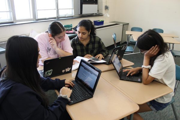 Students Anika Bahiriwani, Rebecca Post, Layla Sheikh, Diya Bajaj studying diligently for their AP tests.  